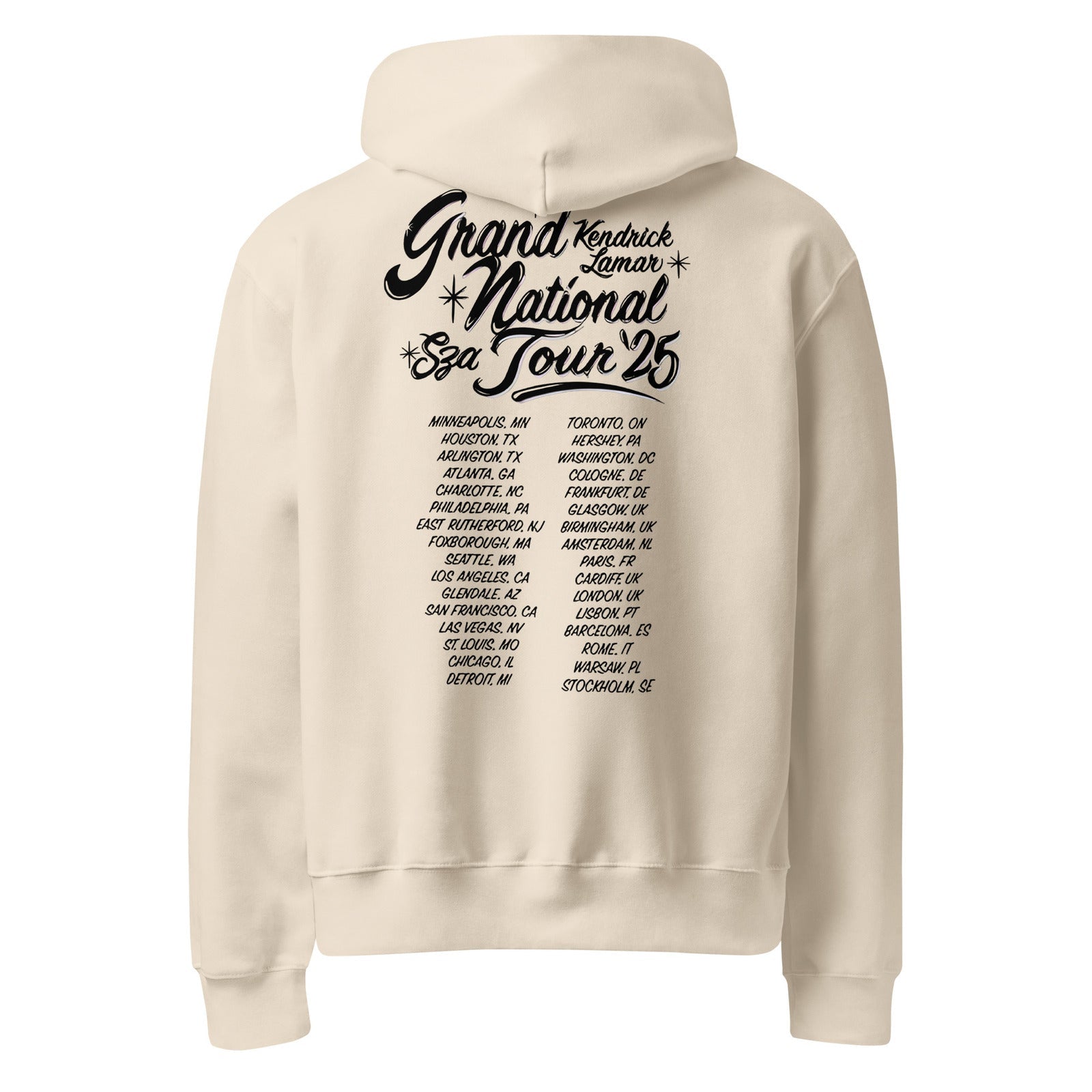 unisex-oversized-heavyweight-hoodie-dust-back-6906270e6d327.jpg