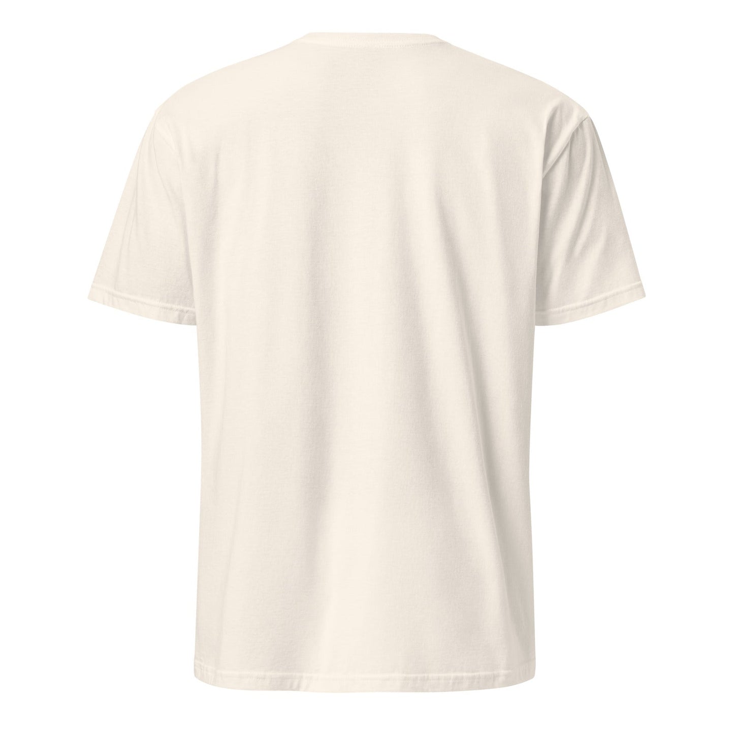 unisex-basic-softstyle-t-shirt-natural-back-6906606e4eb94.jpg